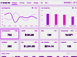 Advertisement Analytics Report